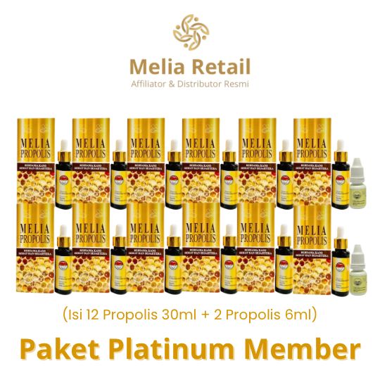 Paket-Platinum-2.jpeg